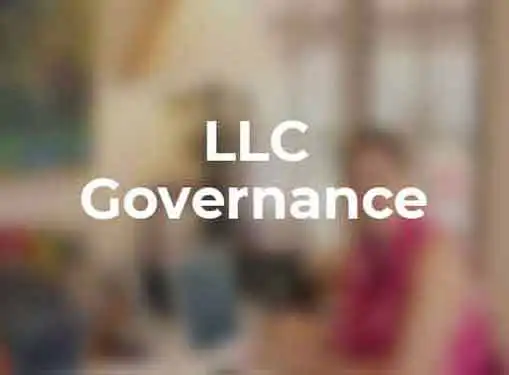 LLC Formalities Requirements and Expenses