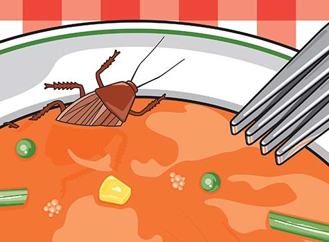 Flies, Cockroaches And Food Safety At Franchised Restaurants