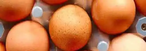 Can a Business Incubator Help You Grow Your Business