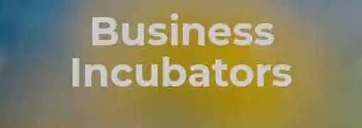 Business Incubators
