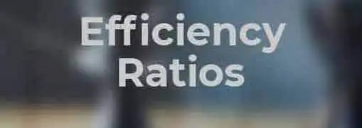 Financial Analysis Efficiency Ratios