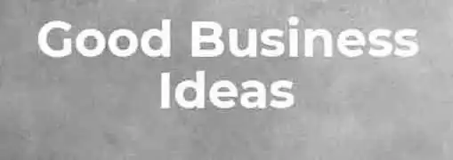 Good Business Ideas for 2011