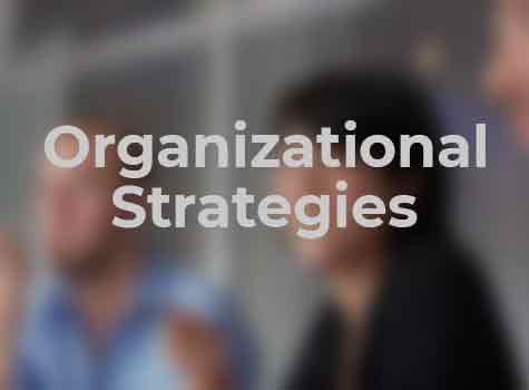 Organizational Strategies - Business Strategies