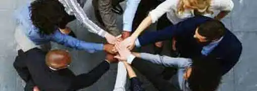 Vetting Your Management Team